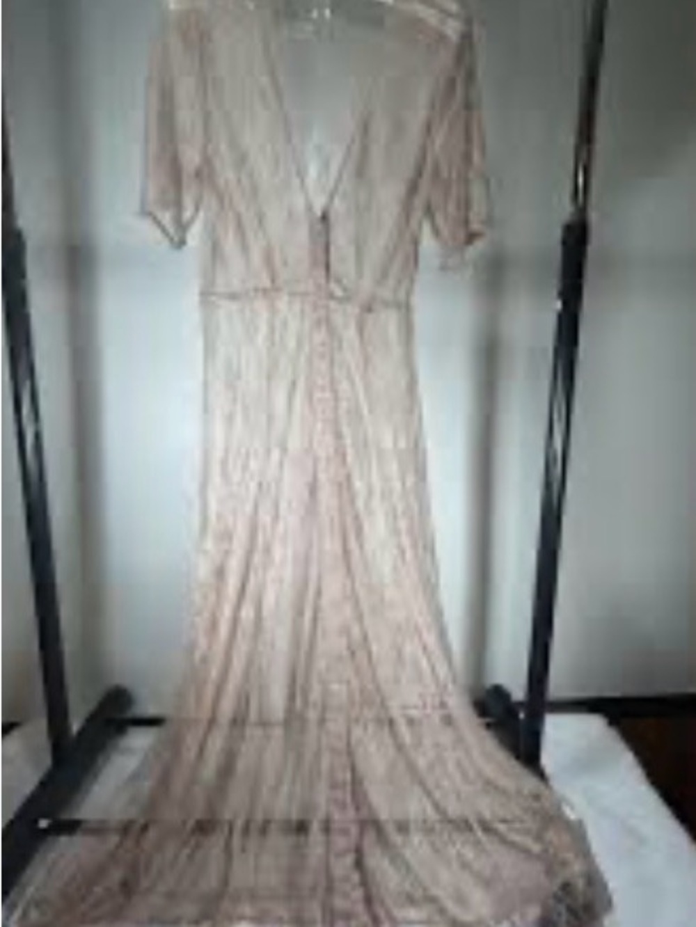Blush Sheer Blush Pink Maxi Dress with V-Neck